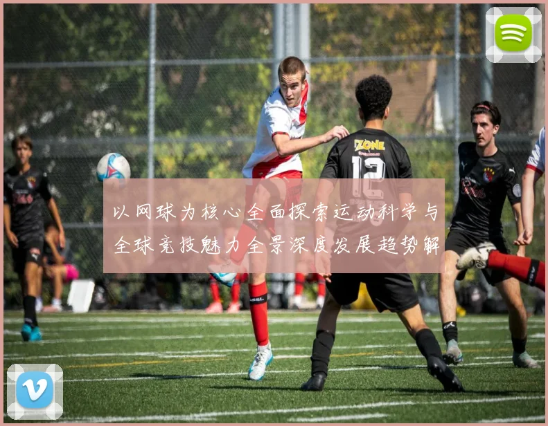 以网球为核心全面探索运动科学与全球竞技魅力全景深度发展趋势解析