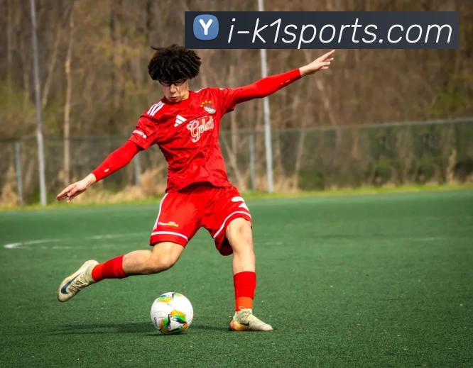 k1sports平台生态图